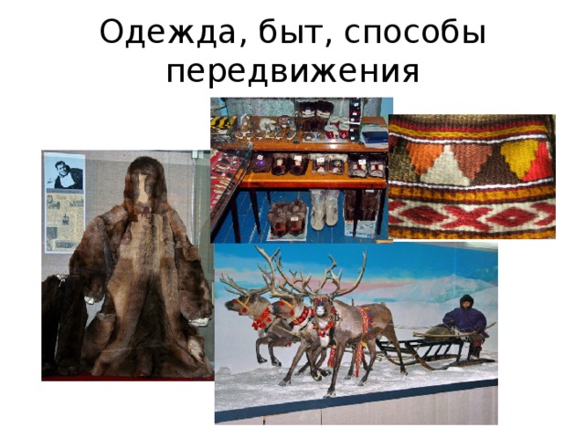 Одежда, быт, способы передвижения 