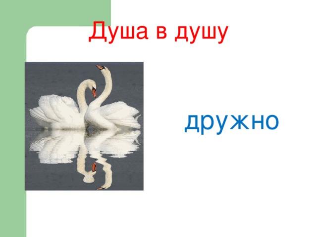 Душа в душу дружно 