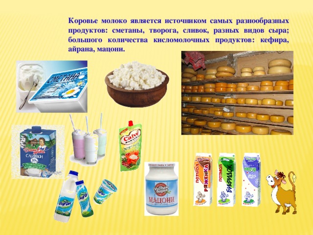 Коровье молоко является источником самых разнообразных продуктов: сметаны, творога, сливок, разных видов сыра; большого количества кисломолочных продуктов: кефира, айрана, мацони. 