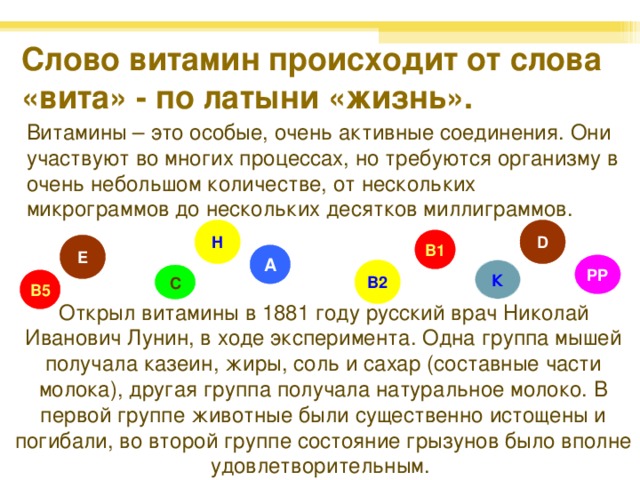 Слово витамин происходит от слова «вита» - по латыни «жизнь». Витамины – это особые, очень активные соединения. Они участвуют во многих процессах, но требуются организму в очень небольшом количестве, от нескольких микрограммов до нескольких десятков миллиграммов. D H В 1 Е А PP К B2 С В 5 Открыл витамины в 1881 году русский врач Николай Иванович Лунин, в ходе эксперимента. Одна группа мышей получала казеин, жиры, соль и сахар (составные части молока), другая группа получала натуральное молоко. В первой группе животные были существенно истощены и погибали, во второй группе состояние грызунов было вполне удовлетворительным.