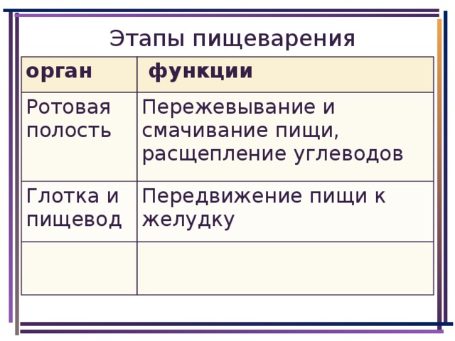 Этапы пищеварения. Основные этапы пищеварения. Этапы пищеварения таблица. Опишите основные этапы пищеварения.