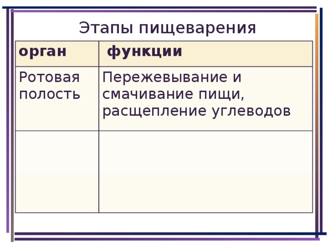 Этапы пищеварения. Этапы пищеварения в ротовой полости. Пищеварение в ротовой полости таблица. Функции ротовой полости и смачивание пищи.