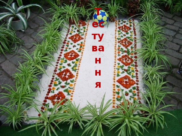 Тестування 