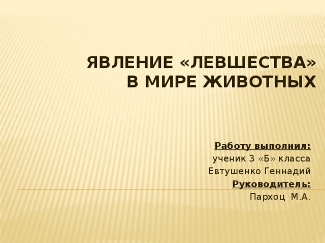 явление «левшества»  в мире животных Работу выполнил: ученик 3 «Б» класса Евтушенко Геннадий Руководитель: Пархоц М.А. 