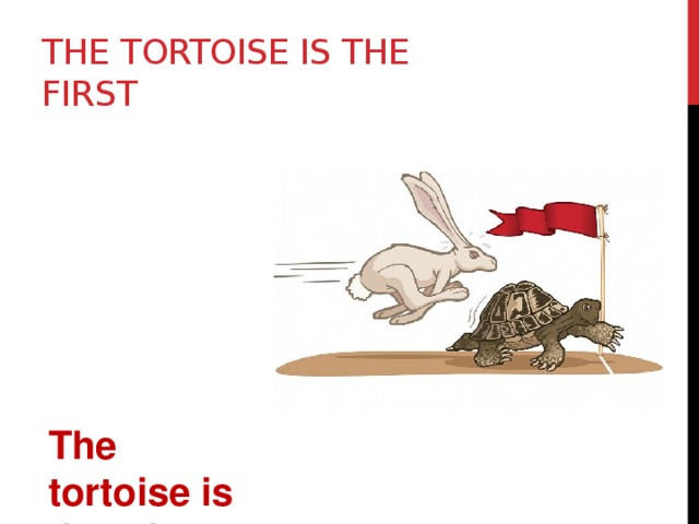 The tortoise is the first The tortoise is the winner 