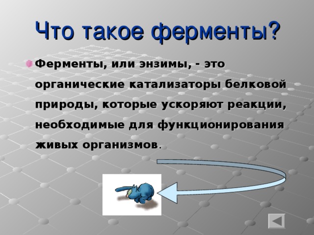 Что такое ферменты? Ферменты, или энзимы, - это органические катализаторы белковой природы, которые ускоряют реакции, необходимые для функционирования живых организмов .  