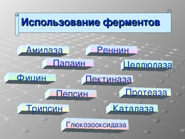 Использование ферментов Амилаза Реннин Папаин Целлюлаза Фицин Пектиназа Протеаза Пепсин Трипсин Каталаза Глюкозооксидаза  