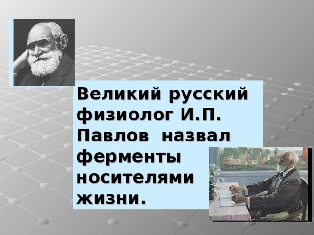 Великий русский физиолог И.П. Павлов назвал ферменты носителями жизни.  