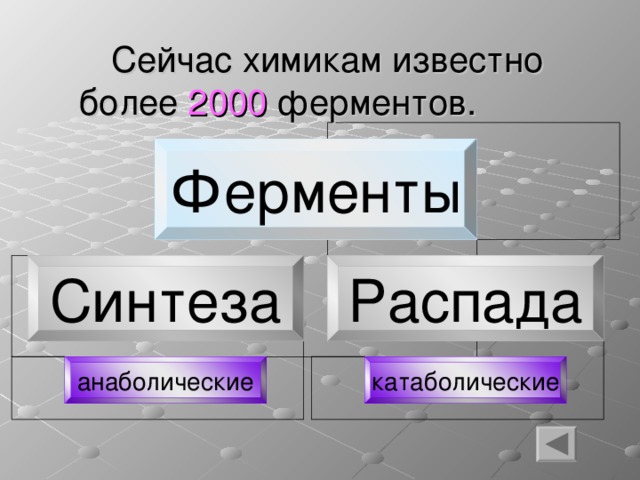  Сейчас химикам известно более 2000 ферментов. Ферменты Синтеза Распада катаболические анаболические 4 