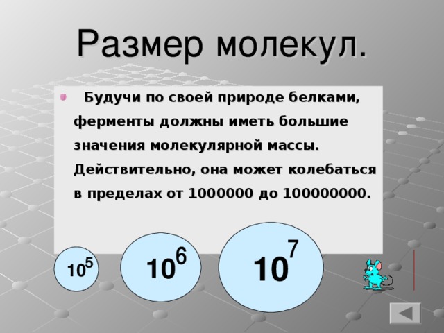 Размер молекул.  Будучи по своей природе белками, ферменты должны иметь большие значения молекулярной массы. Действительно, она может колебаться в пределах от 1000000 до 100000000.  10 10 10 4 