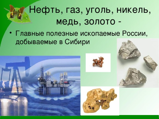 Нефть, газ, уголь, никель, медь, золото - Главные полезные ископаемые России, добываемые в Сибири 