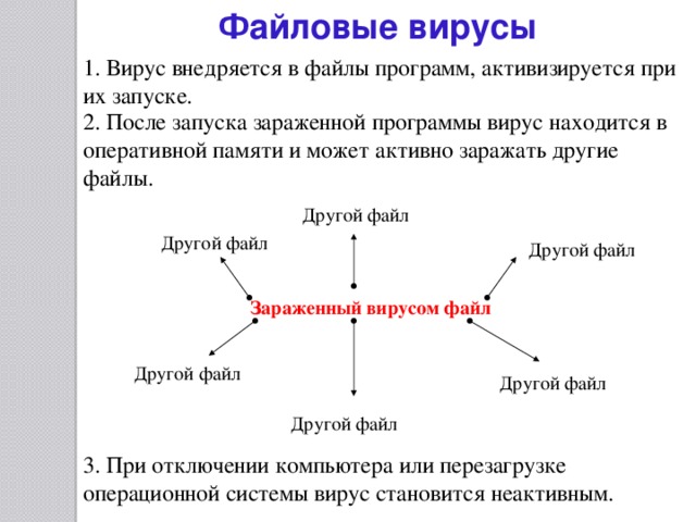 Файловые вирусы 1. Вирус внедряется в файлы программ, активизируется при их запуске. 2. После запуска зараженной программы вирус находится в оперативной памяти и может активно заражать другие файлы. Другой файл Другой файл Другой файл Зараженный вирусом файл Другой файл Другой файл Другой файл 3. При отключении компьютера или перезагрузке операционной системы вирус становится неактивным. 