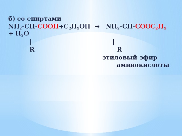 б) со спиртами NH 2 -CH- COOH +С 2 Н 5 ОН → NH 2 -CH- COOС 2 Н 5  + H 2 O  | |  R R   этиловый эфир  аминокислоты 