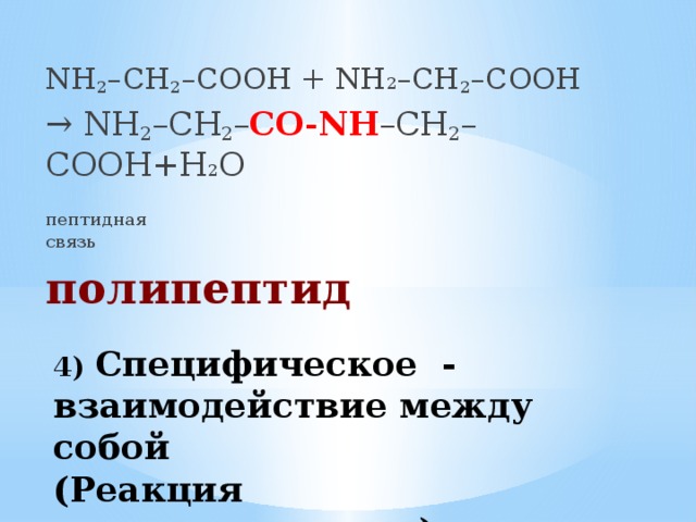 NH 2 –CH 2 –COOH + NH 2 –CH 2 –COOH → NH 2 –CH 2 – CO-NH –CH 2 –COOH+Н 2 О      пептидная     связь полипептид 4) Специфическое - взаимодействие между собой  (Реакция поликонденсации)    