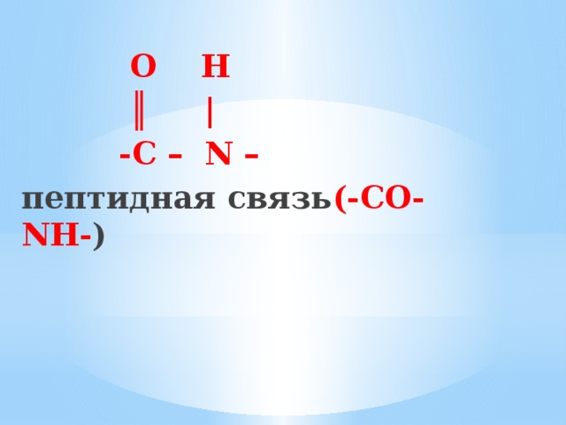  O H  ║ |  -C – N –  пептидная связь (-СО-NH- ) 