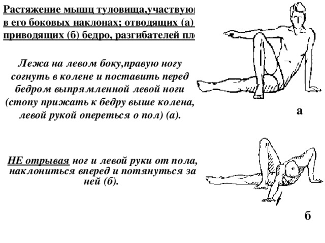 Растяжение мышц туловища,участвующих в его боковых наклонах; отводящих (а) и приводящих (б) бедро, разгибателей плеча. Лежа на левом боку,правую ногу согнуть в колене и поставить перед бедром выпрямленной левой ноги (стопу прижать к бедру выше колена, левой рукой опереться о пол) (а).  а НЕ отрывая ног и левой руки от пола, наклониться вперед и потянуться за ней (б). б 