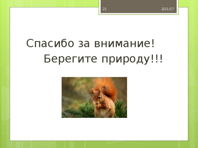 Спасибо за внимание берегите природу картинки для презентации