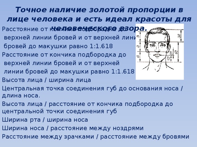 Точное наличие золотой пропорции в лице человека и есть идеал красоты для человеческого взора. Расстояние от кончика подбородка до  верхней линии бровей и от верхней линии  бровей до макушки равно 1:1.618 Расстояние от кончика подбородка до  верхней линии бровей и от верхней  линии бровей до макушки равно 1:1.618 Высота лица / ширина лица Центральная точка соединения губ до основания носа / длина носа. Высота лица / расстояние от кончика подбородка до центральной точки соединения губ Ширина рта / ширина носа Ширина носа / расстояние между ноздрями Расстояние между зрачками / расстояние между бровями 