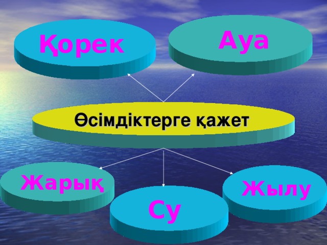 Ағзалардың жеке дамуы түсінігі 7 сынып презентация