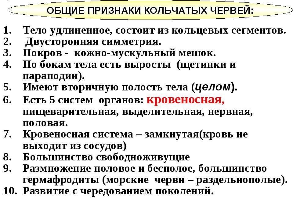 Круглые черви конспект