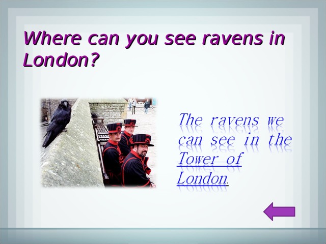 Where can you see ravens in London? 