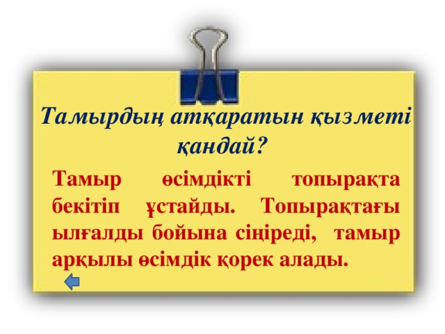 Тамырдың атқаратын қызметі қандай? Тамыр өсімдікті топырақта бекітіп ұстайды. Топырақтағы ылғалды бойына сіңіреді, тамыр арқылы өсімдік қорек алады. 