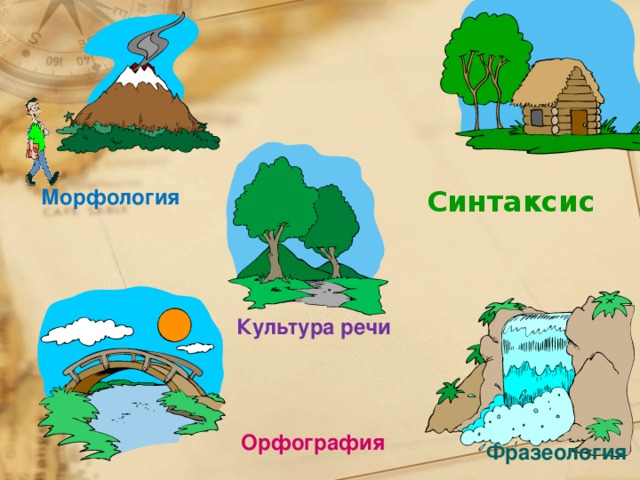 Морфология Синтаксис Культура речи Орфография Фразеология