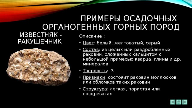 Образец горной породы 4