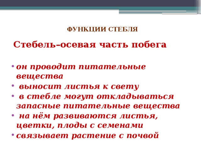 Стебель функции