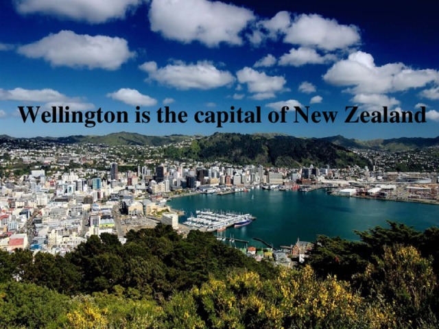  Wellington is the capital of New Zealand 