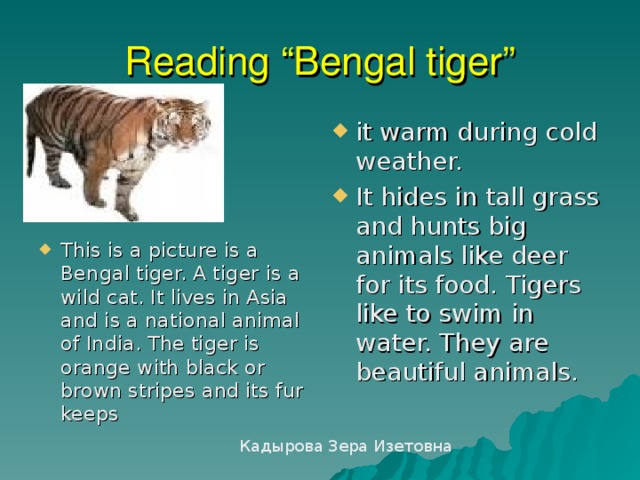 Reading “Bengal tiger” it warm during cold weather. It hides in tall grass and hunts big animals like deer for its food. Tigers like to swim in water. They are beautiful animals.  This is a picture is a Bengal tiger. A tiger is a wild cat. It lives in Asia and is a national animal of India. The tiger is orange with black or brown stripes and its fur keeps  Кадырова Зера Изетовна 