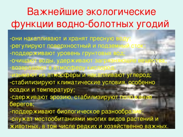 Водно болотные угодья презентация