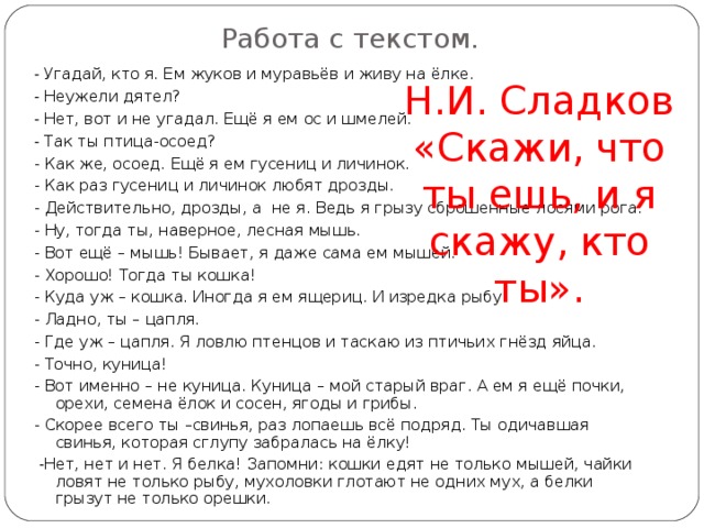 Работа с текстом. - Угадай, кто я. Ем жуков и муравьёв и живу на ёлке. - Неужели дятел? - Нет, вот и не угадал. Ещё я ем ос и шмелей. - Так ты птица-осоед? -  Как же, осоед. Ещё я ем гусениц и личинок. -  Как раз гусениц и личинок любят дрозды. -  Действительно, дрозды, а не я. Ведь я грызу сброшенные лосями рога. -  Ну, тогда ты, наверное, лесная мышь. -  Вот ещё – мышь! Бывает, я даже сама ем мышей. -  Хорошо! Тогда ты кошка! -  Куда уж – кошка. Иногда я ем ящериц. И изредка рыбу. -  Ладно, ты – цапля. -  Где уж – цапля. Я ловлю птенцов и таскаю из птичьих гнёзд яйца. -  Точно, куница! -  Вот именно – не куница. Куница – мой старый враг. А ем я ещё почки, орехи, семена ёлок и сосен, ягоды и грибы. -  Скорее всего ты –свинья, раз лопаешь всё подряд. Ты одичавшая свинья, которая сглупу забралась на ёлку!  - Нет, нет и нет. Я белка! Запомни: кошки едят не только мышей, чайки ловят не только рыбу, мухоловки глотают не одних мух, а белки грызут не только орешки. Н.И. Сладков «Скажи,  что ты ешь,  и я скажу,  кто ты».