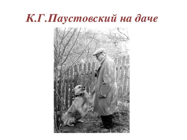 Доброе отношение к животным паустовский. Паустовский с животными. Паустовский в Тарусе с псом грозным. Паустовский с собакой.