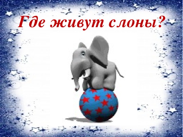 Где живут слоны? 