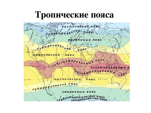 Тропические пояса 