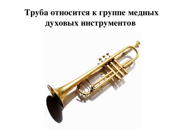 Труба относится к группе медных духовых инструментов 