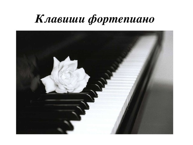 Клавиши фортепиано 