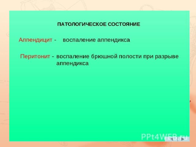 Всасывание питательных веществ происходит в выростах кишечной стенки