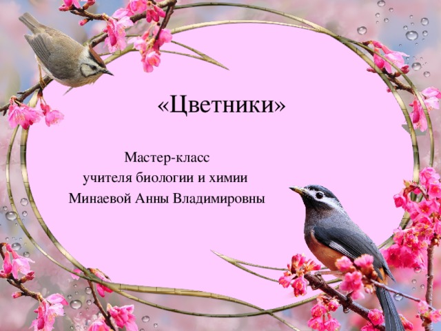  «Цветники»   Мастер-класс учителя биологии и химии Минаевой Анны Владимировны 