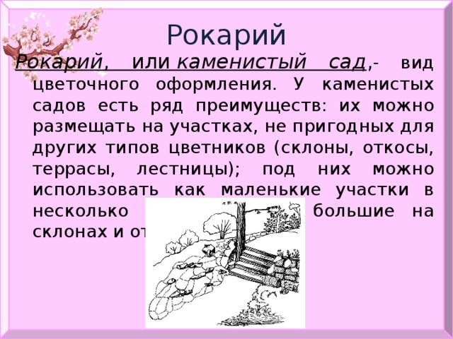 Рокарий Рокарий , или  каменистый сад , - вид цветочного оформления. У каменистых садов есть ряд преимуществ: их можно размещать на участках, не пригодных для других типов цветников (склоны, откосы, террасы, лестницы); под них можно использовать как маленькие участки в несколько метров, так и большие на склонах и откосах. 
