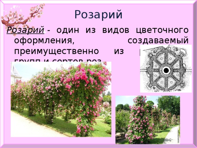 Розарий Розарий  - один из видов цветочного оформления, создаваемый преимущественно из различных групп и сортов роз. 