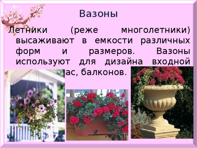 Вазоны Летники (реже многолетники) высаживают в емкости различных форм и размеров. Вазоны используют для дизайна входной зоны, террас, балконов. 