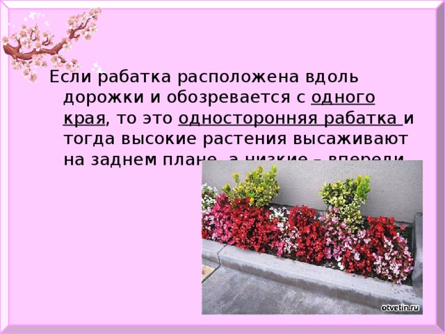 Если рабатка расположена вдоль дорожки и обозревается с одного края , то это односторонняя рабатка и тогда высокие растения высаживают на заднем плане, а низкие – впереди. 