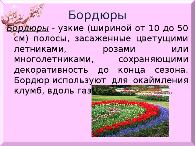 Бордюры Бордюры  - узкие (шириной от 10 до 50 см) полосы, засаженные цветущими летниками, розами или многолетниками, сохраняющими декоративность до конца сезона. Бордюр используют для окаймления клумб, вдоль газона или дорожек. 