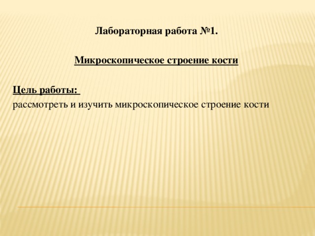 Лабораторная работа №1. Микроскопическое строение кости  Цель работы: рассмотреть и изучить микроскопическое строение кости 