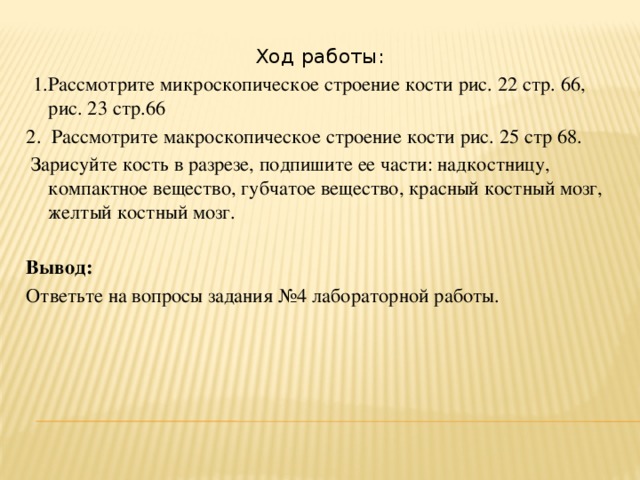 Лабораторная работа изучение строения костей. Вывод о микроскопическом строении кости. Вывод о строении костей. Вывод по теме микроскопическое строение кости. Микроскопическое строение кости лабораторная работа 8.