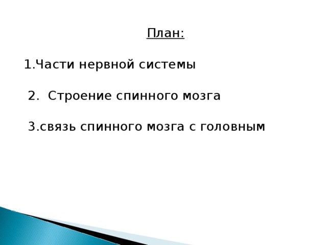 План: 1.Части нервной системы  2. Строение спинного мозга  3.связь спинного мозга с головным 