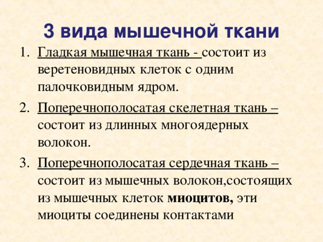 3 вида мышечной ткани Гладкая мышечная ткань - состоит из веретеновидных клеток с одним палочковидным ядром. Поперечнополосатая скелетная ткань – состоит из длинных многоядерных волокон. Поперечнополосатая сердечная ткань – состоит из мышечных волокон,состоящих из мышечных клеток миоцитов, эти миоциты соединены контактами 