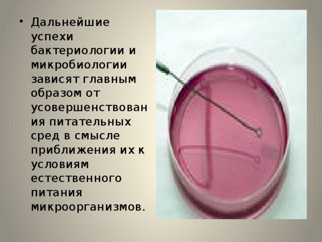 Питательные среды микробиология презентация